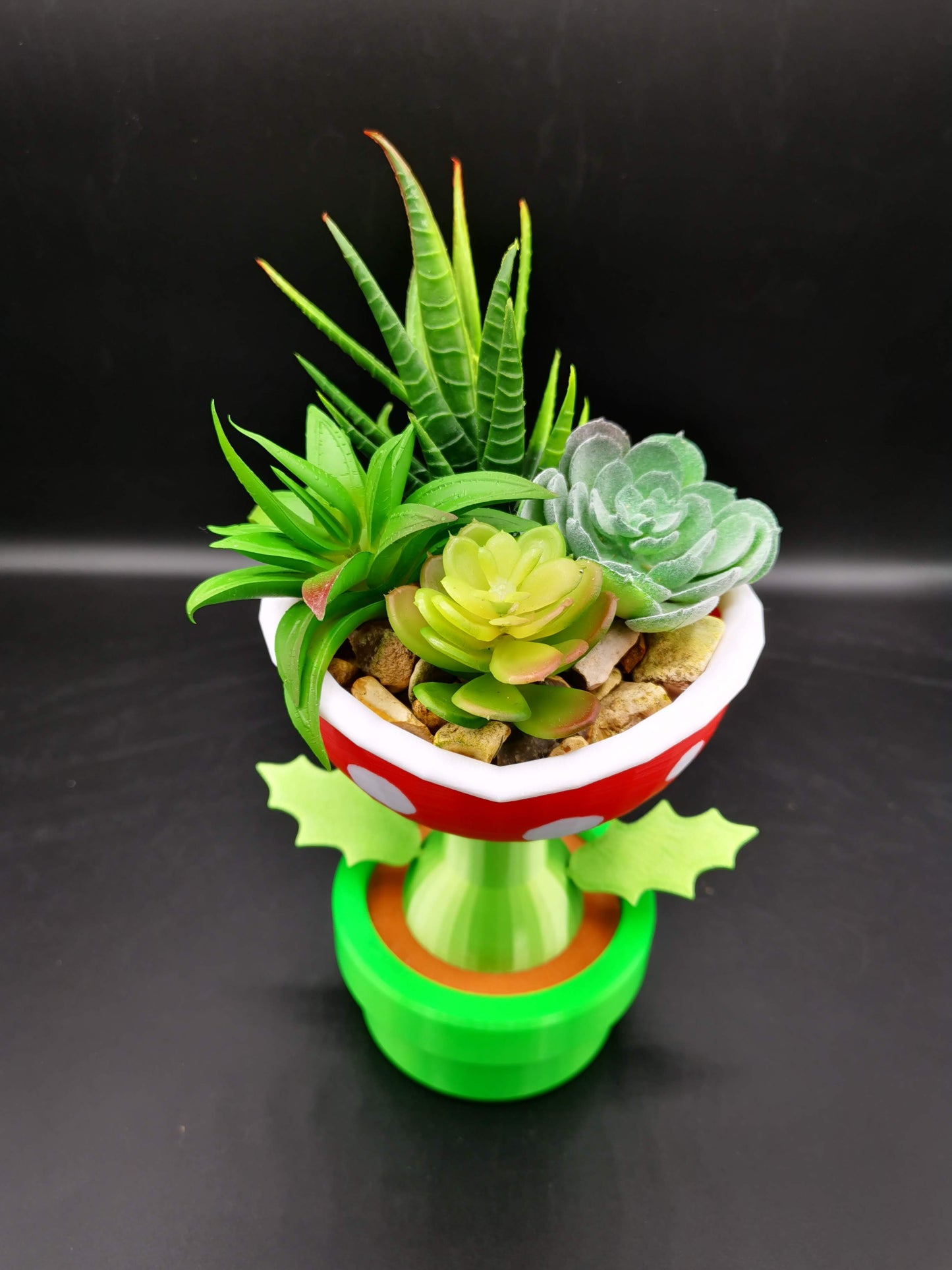 Petey Piranha planter with succulent