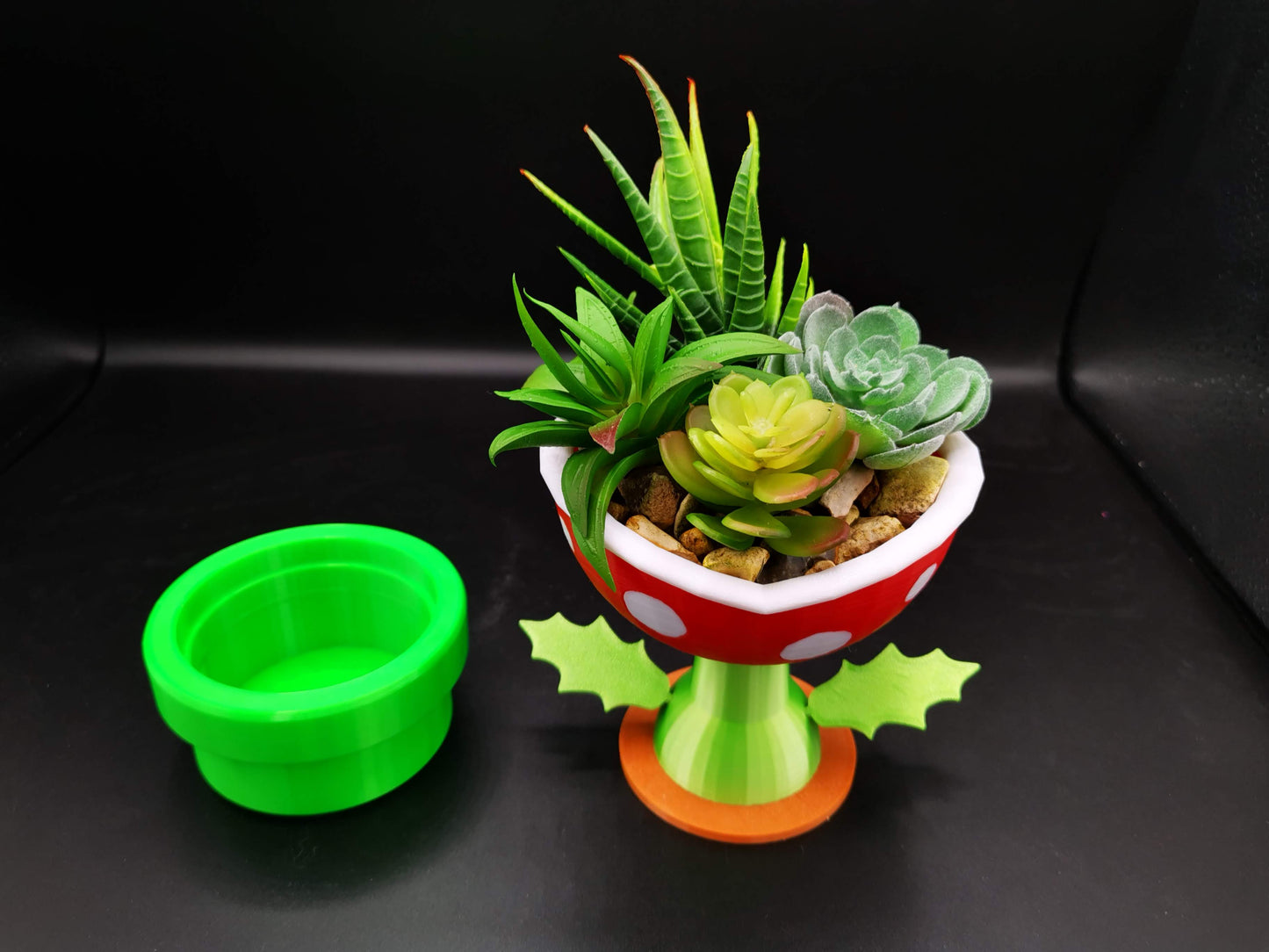 Petey Piranha planter with succulent