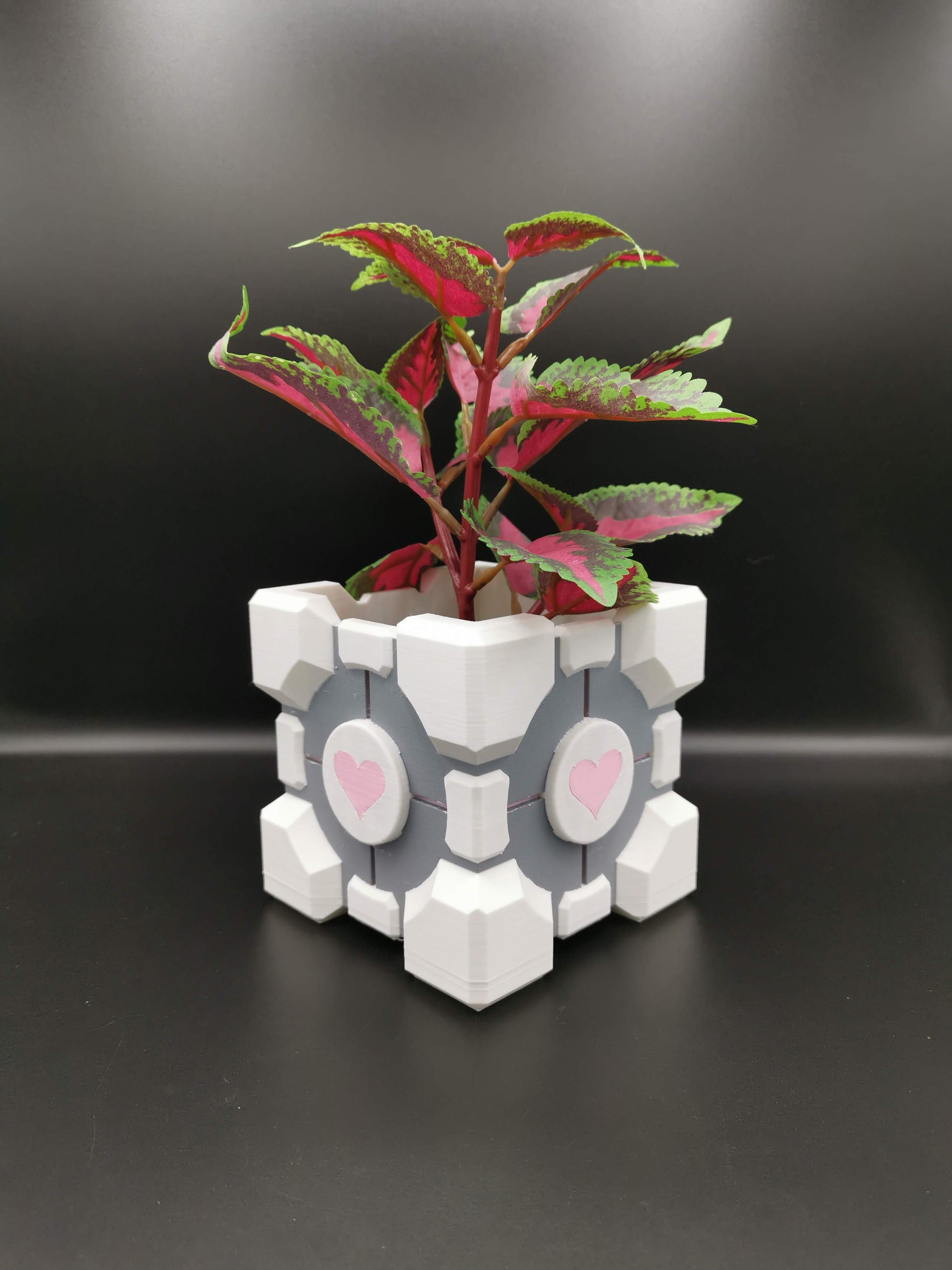 Companion Cube Portal planter from front angle close up with plant