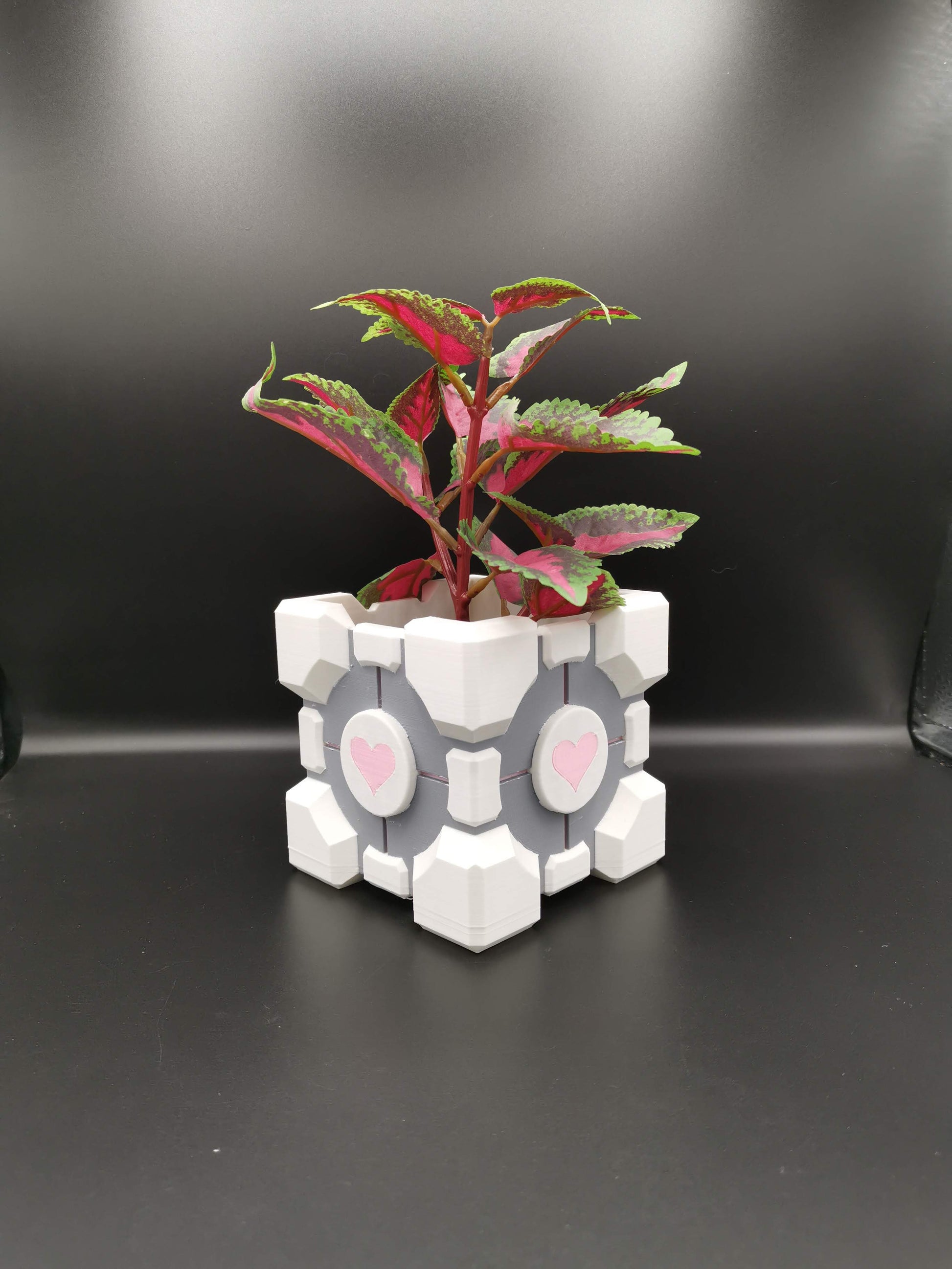 Companion Cube Portal planter from front angle with plant
