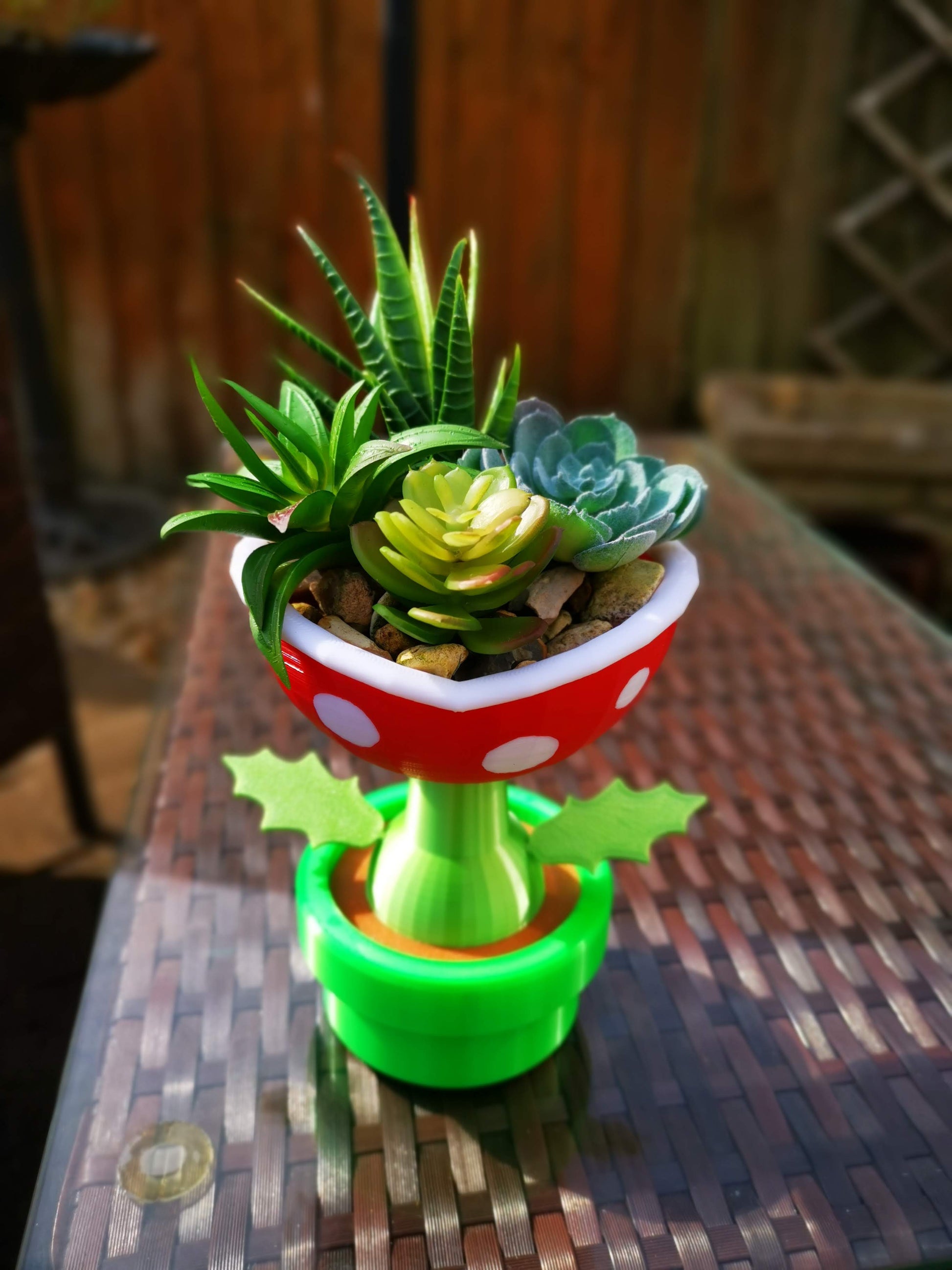 Petey Piranha planter outside from the top