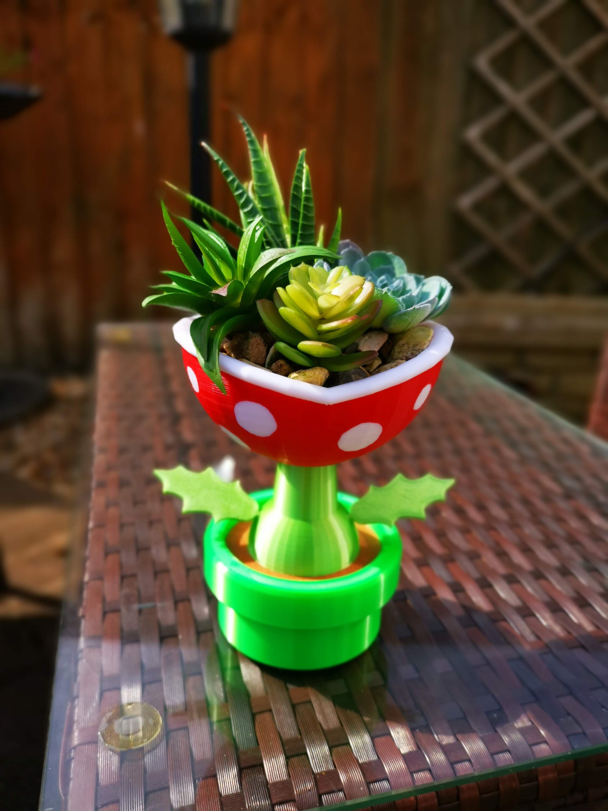 Petey Piranha planter outside on the table