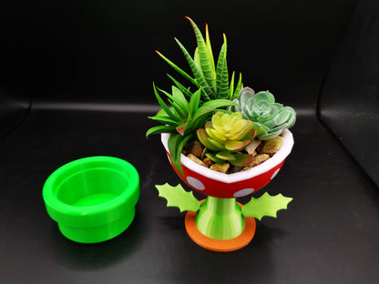 Petey Piranha planter with succulent
