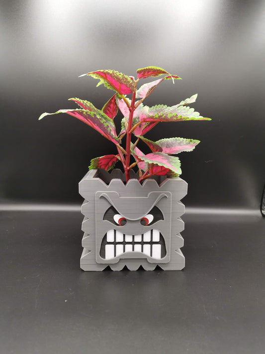 Thwomp Mario planter from the front