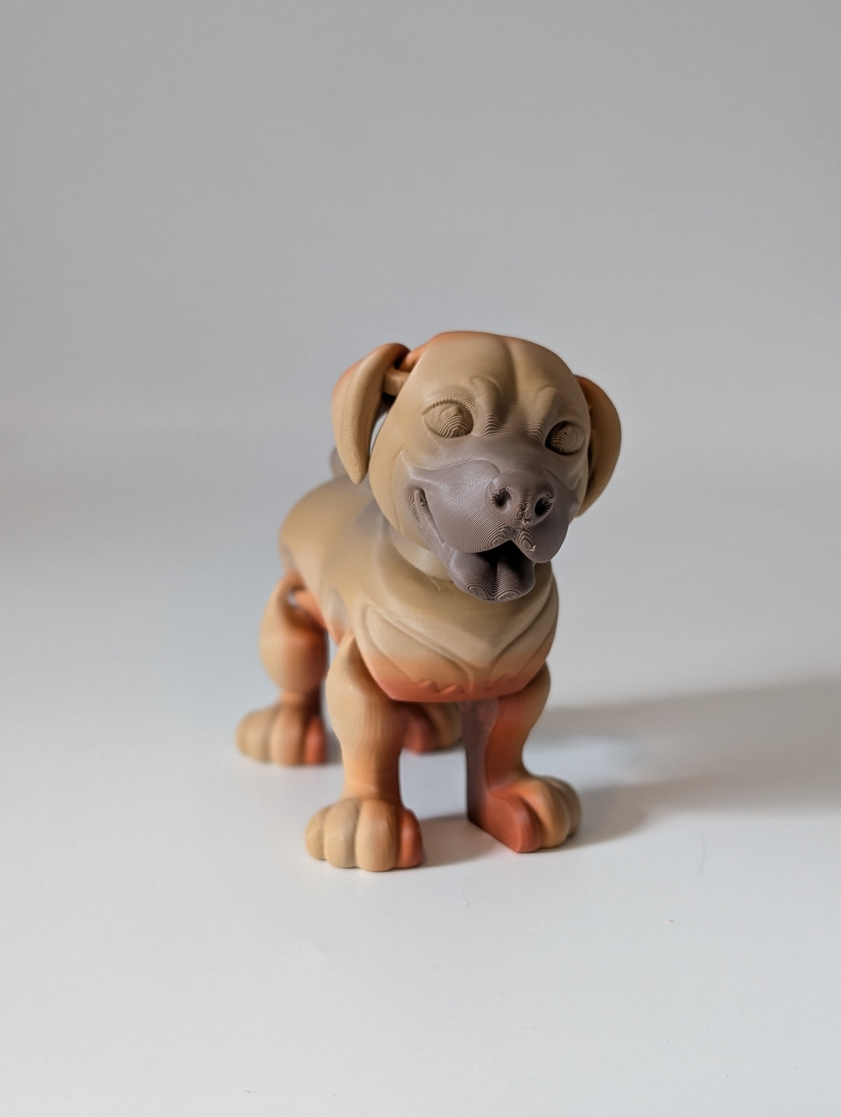 Articulated Dog Fidget Toy – posable 3D printed dog, product photo 7 of 17