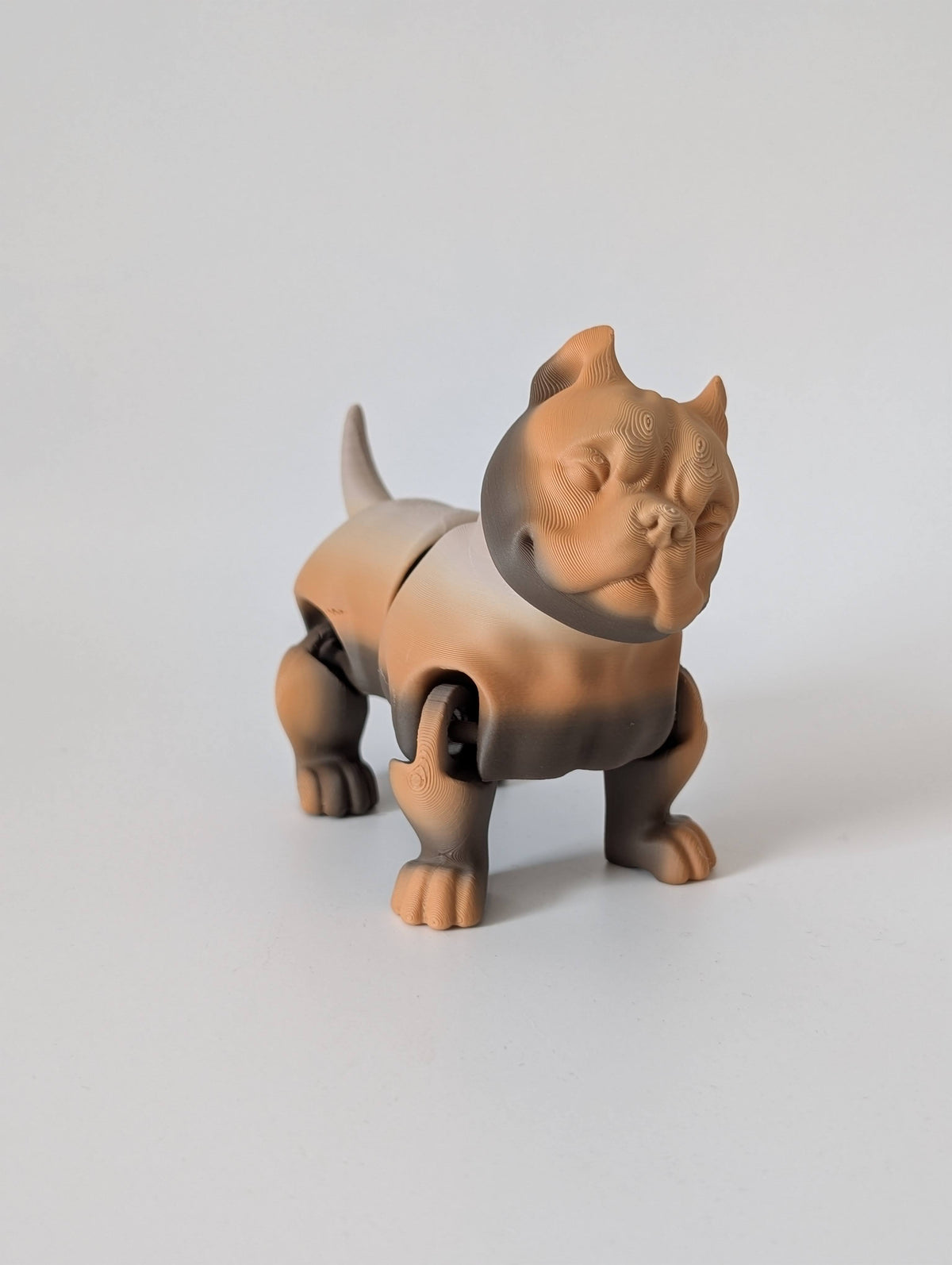 Articulated Dog Fidget Toy – posable 3D printed dog, product photo 10 of 17
