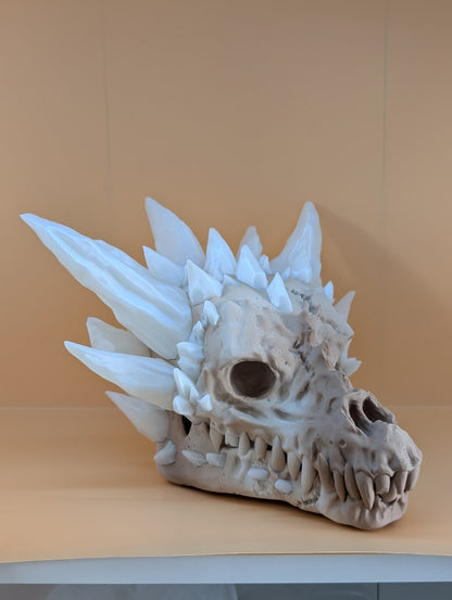 Fossil dragon skull, left three-quarter view
