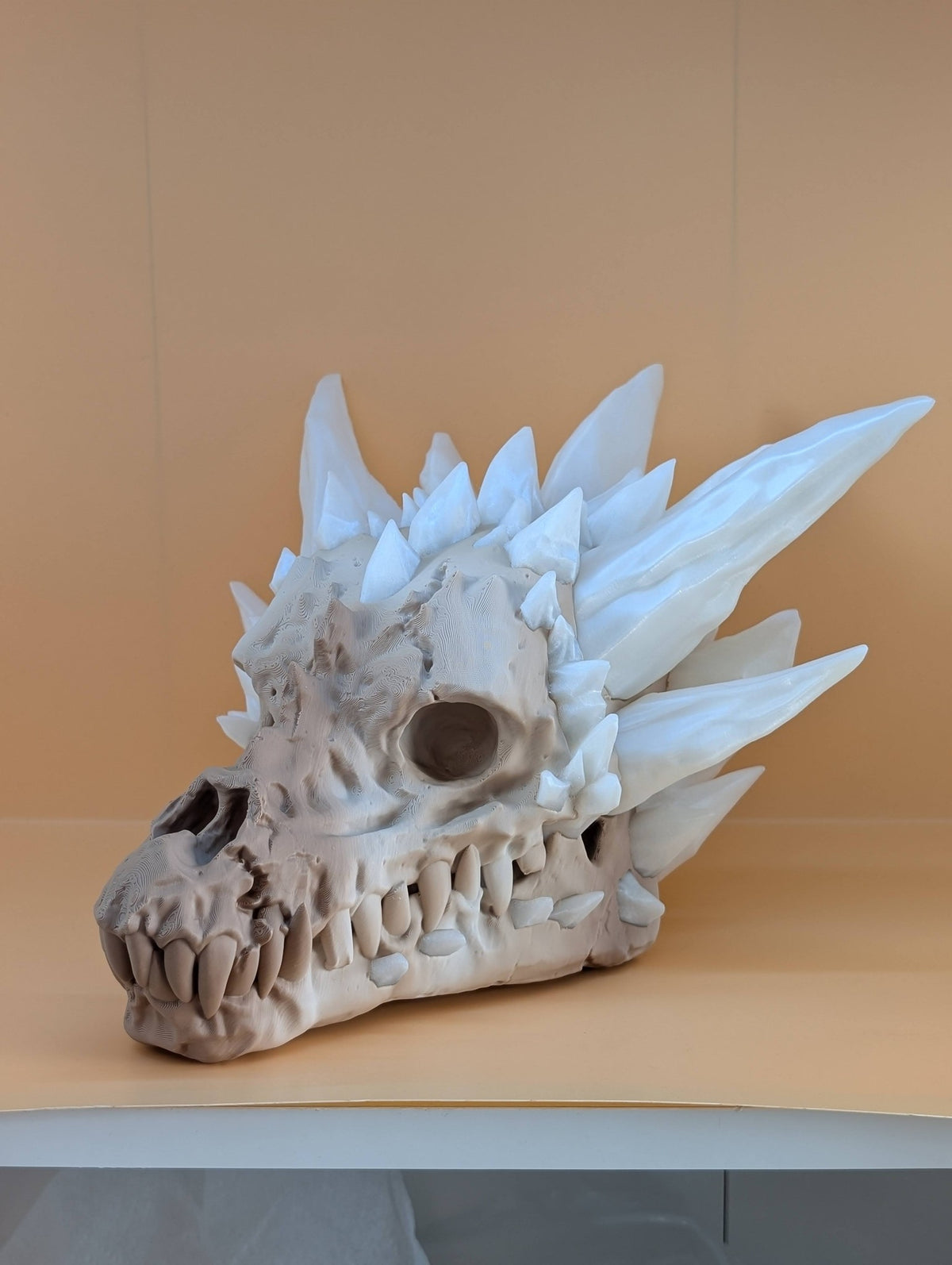 Dragon skull crystals and teeth, side view