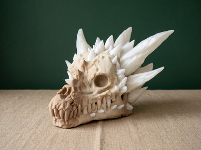 Crystal dragon skull on a green wall