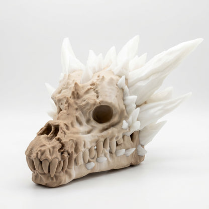 Crystal dragon skull on a white background