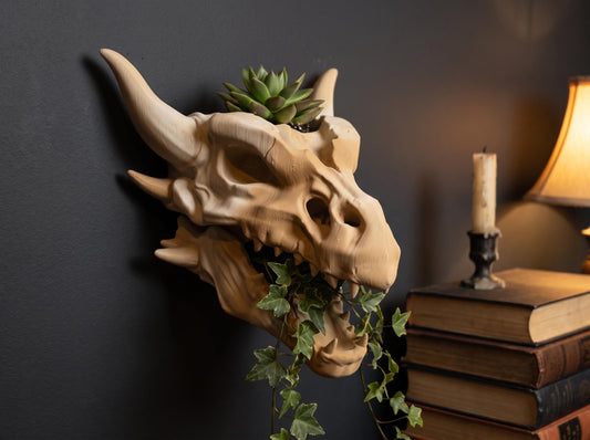 Dragon skull wall planter in Fossil on a dark wall, with a succulent on top and ivy trailing from the jaw
