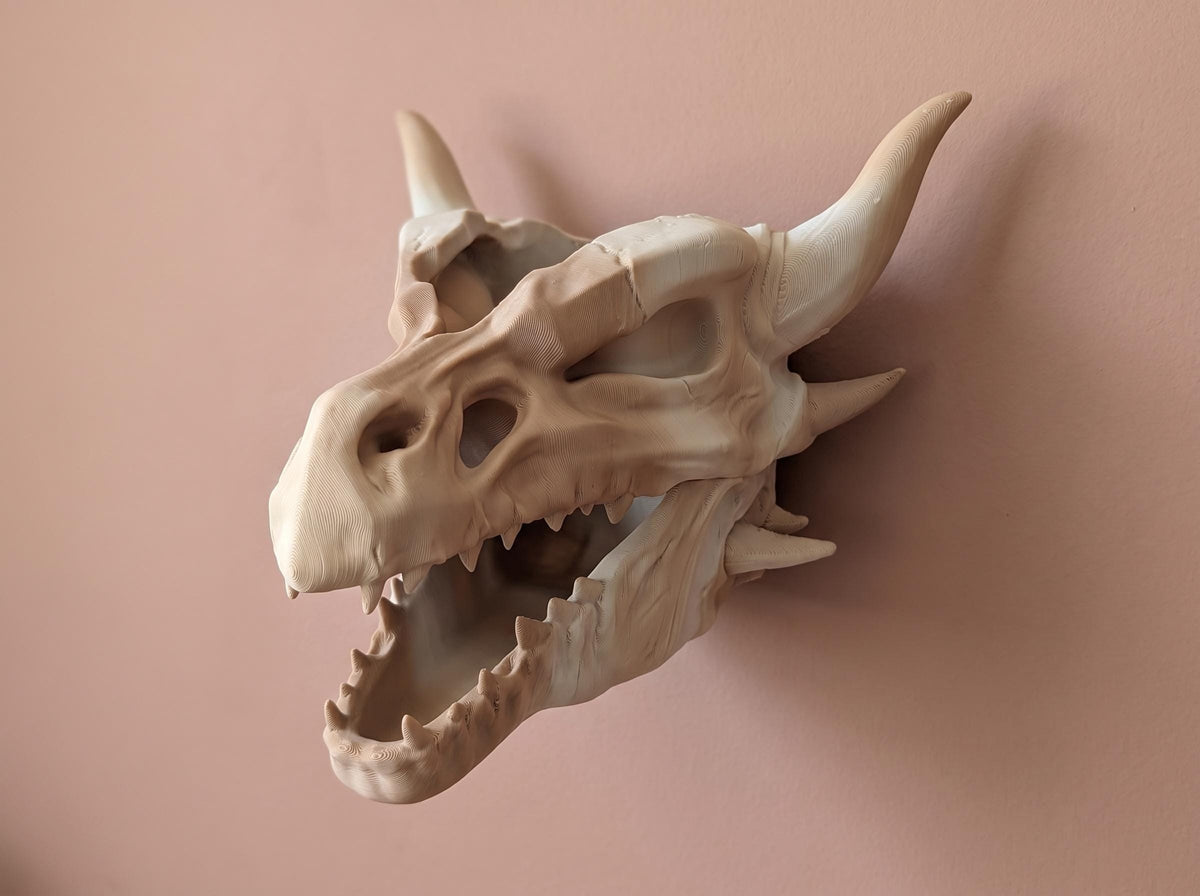 Dragon skull wall planter on a pink wall, showing the horns, teeth and open jaw