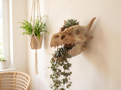 Dragon skull wall planter with a succulent on top and a string of hearts trailing from the mouth