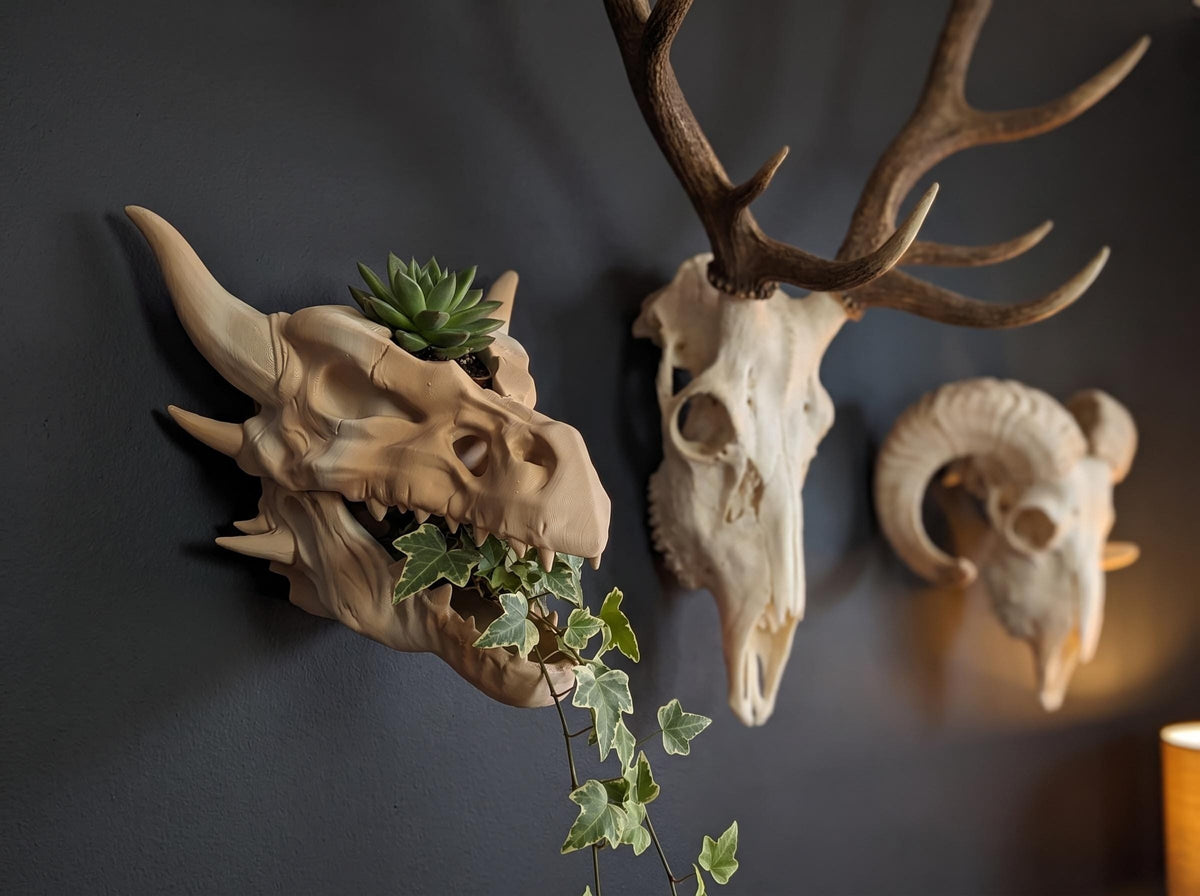 Dragon skull wall planter next to a deer skull and ram skull on a dark wall