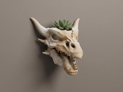 Dragon skull wall planter with a succulent planted in the top of the skull