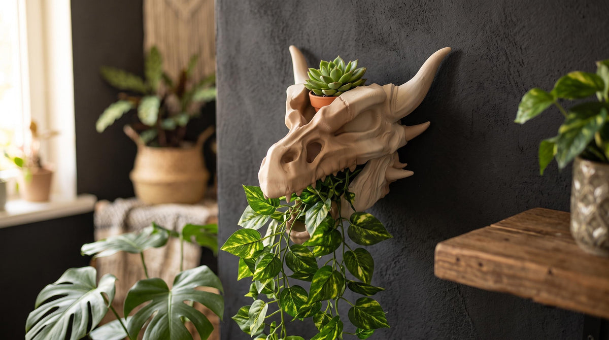 Dragon skull wall planter with a succulent on top and a trailing pothos in the mouth