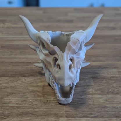 Dragon skull planter seen from the front, showing the hollow top for a small pot