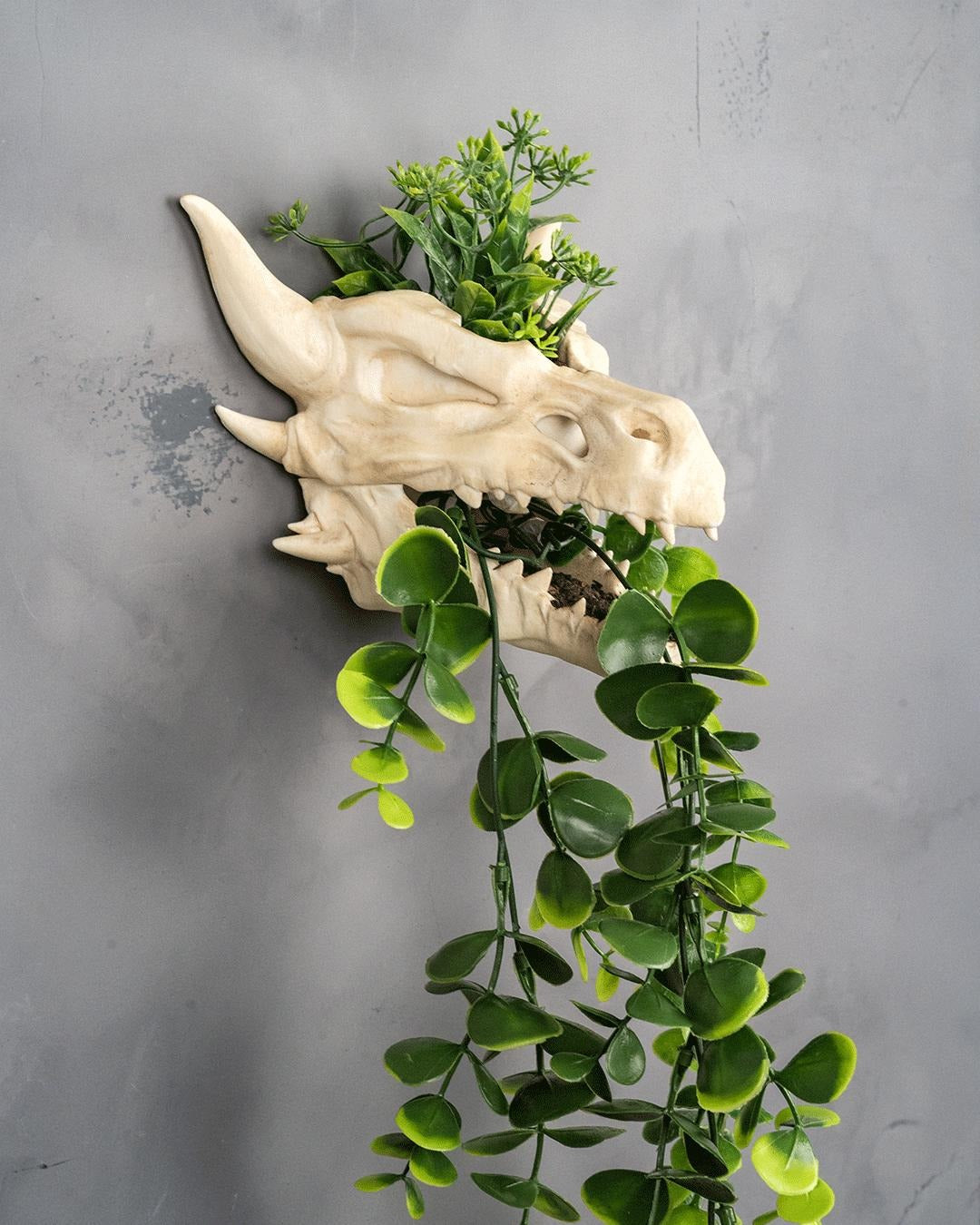 Dragon skull wall planter filled with artificial greenery trailing from the mouth
