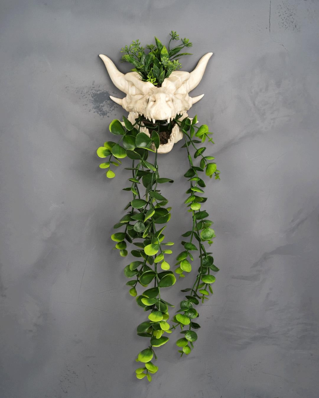 Dragon skull wall planter with long artificial vines hanging from the jaw