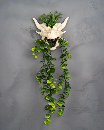Dragon skull wall planter with long artificial vines hanging from the jaw