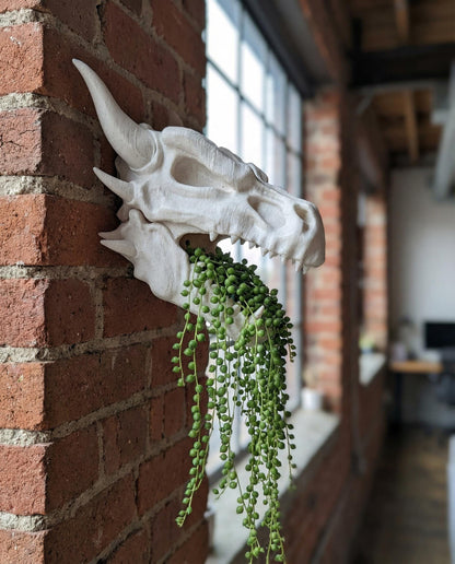 Dragon skull wall planter on a brick wall with a string of pearls plant