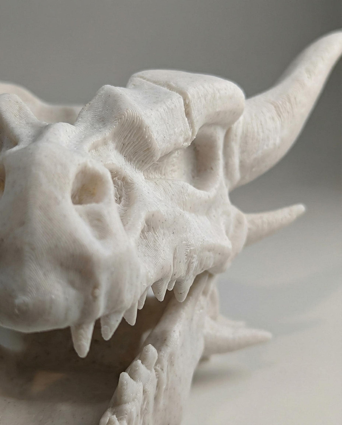 Side view of the 3D printed dragon skull planter showing the bone texture