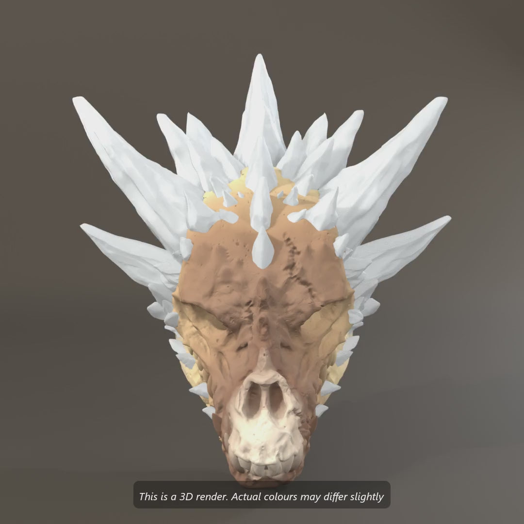 3D render of the Crystal Dragon Skull: 360 spin, hanging it on a 5mm screw, then the crystals glowing in the dark