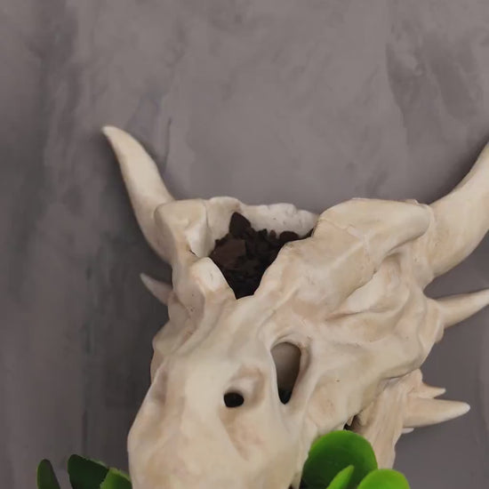 Hanging the dragon skull wall planter on a wall