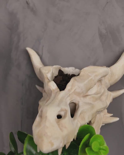 Hanging the dragon skull wall planter on a wall