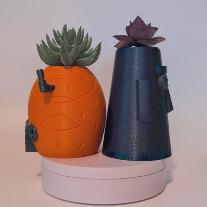 Spongebob & Squidward House Planters - Various Sizes
