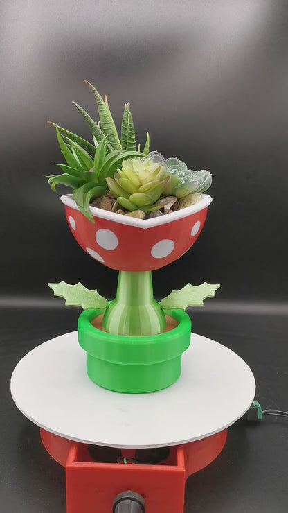 Mario Petey Piranha Planter with Drainage - Various Sizes