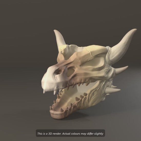 Dragon skull wall planter 3D render turning, then mounting on two wall screws