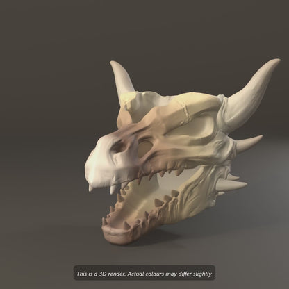 Dragon skull wall planter 3D render turning, then mounting on two wall screws